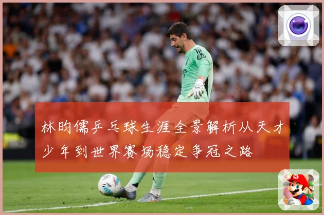 林昀儒乒乓球生涯全景解析从天才少年到世界赛场稳定争冠之路