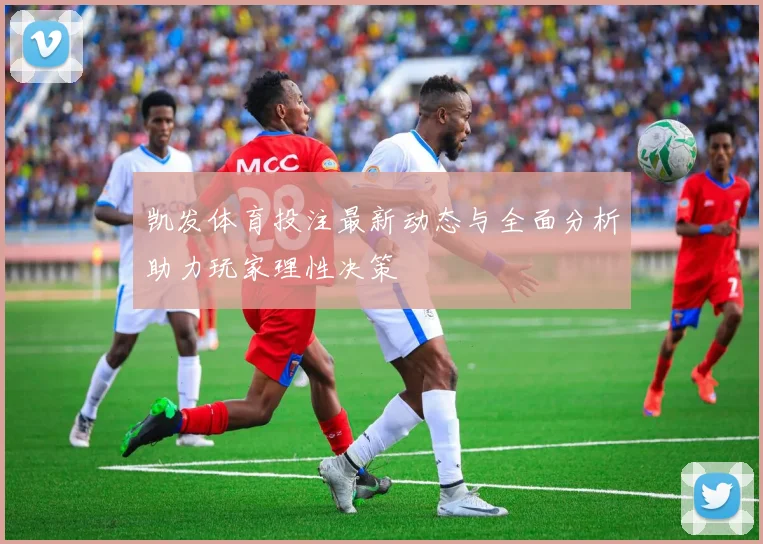 凯发体育投注最新动态与全面分析助力玩家理性决策