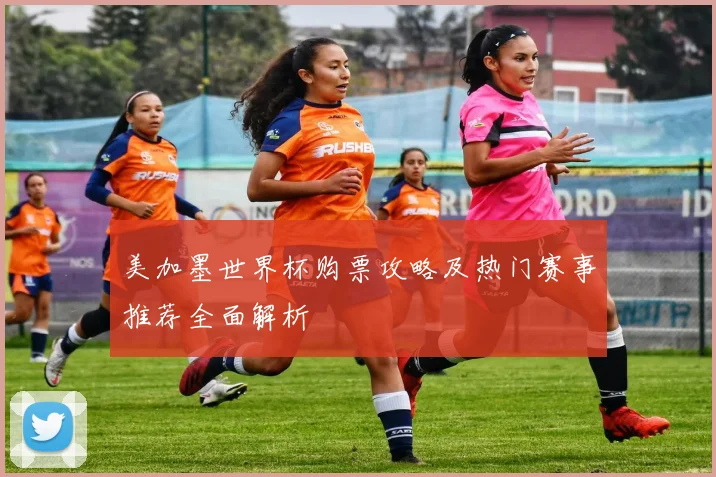 美加墨世界杯购票攻略及热门赛事推荐全面解析