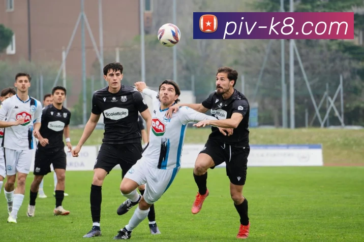 凯发娱乐平台展示图